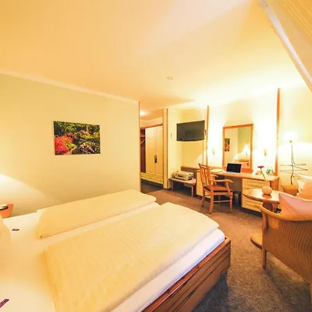 Altes Stadthaus Hotel 3*
